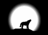 wolfeyes.gif
